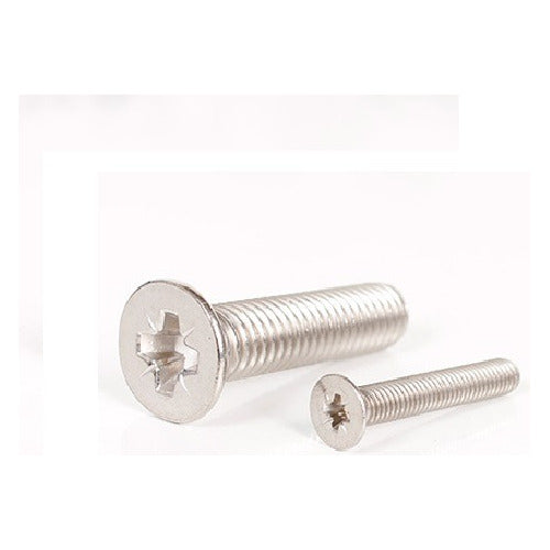 Tornillo Acero Inoxidable Cabeza Frezada M6x25 X10 U 1