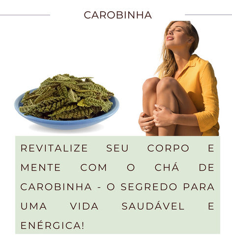 3 Pacotes De Carobinha P Chá | Legítima Jacaranda Caroba 5