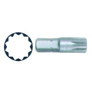 Puntas Dest.p/torx 12 Pun.m8 25mm Bianditz 238507p/10uni Xun 0