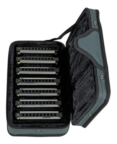 Set of 7 Hohner Blues Band Diatonic Harmonicas Installments 2