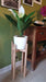 Planta Con Flores Blancas De Aspecto Natural 60cm Decoracion 1