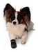 Trixie Neoprene Non-Slip Dog Boots Size S 1