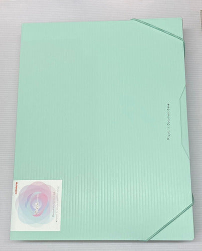 Databank A4 45mm Spine Elastic Folder - Pastel Green 1