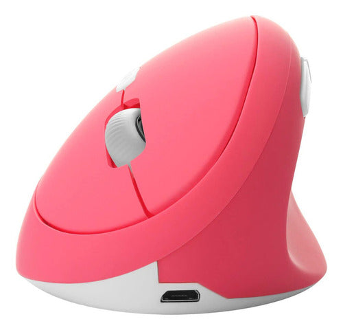 Chuyi Ergonomic Wireless Rechargeable Mouse 0