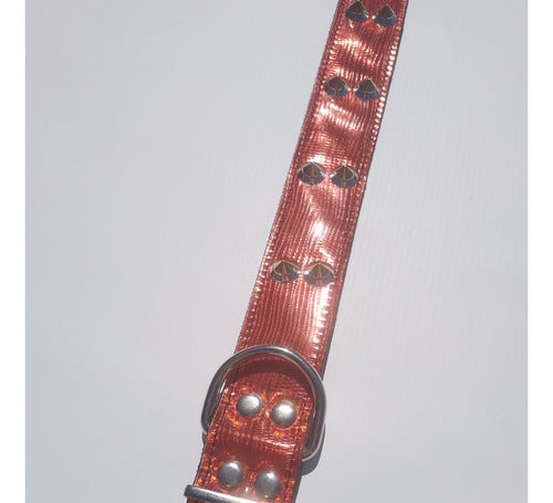 XL Eco Leather Dog Collar for Pet 55cm 17