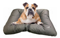 Brakko Waterproof Anti-Tear Dog Bed Large L 90 X 75 5