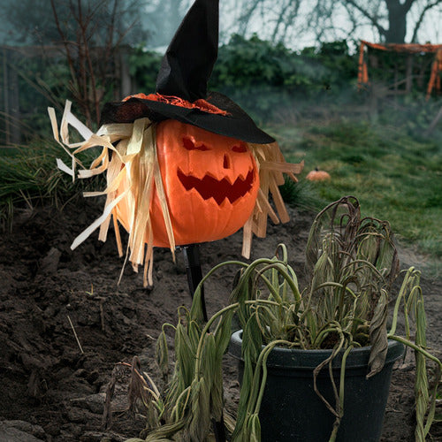 Decoracion Halloween Calabaza Espantapajaros Con Luz Colores 6