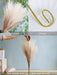 Forlaoers 19 40 Pieces Small Boho White Pampas Grass Feathers 2