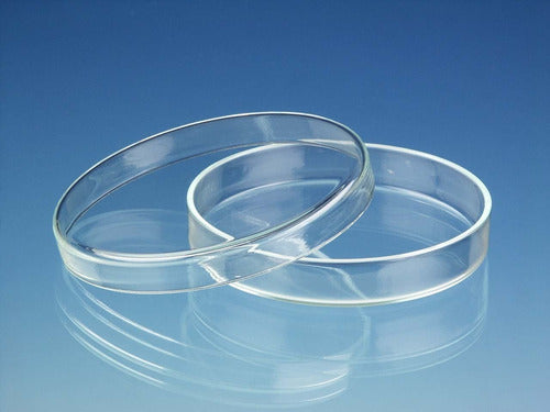 HDA Envaplus Pacheco 10 Petri Dish 100 Mm Borosilicate Glass 3.3 1