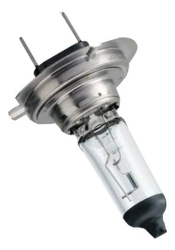 LAM Halogena H7 12V 55W Light for Car Headlight 1