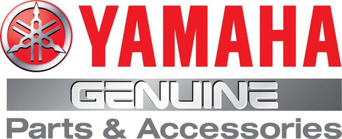 Yamaha Filtro De Aire Ys 250 Fazer Original Delcar ® 1