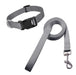Nylon Collar and Leash Set for Dogs and Cats Various Sizes 10