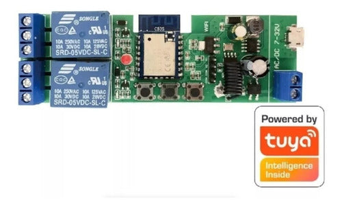 Modulo Rele Tuya 2 Canales Contacto Seco Usb On/off 7-32v 3