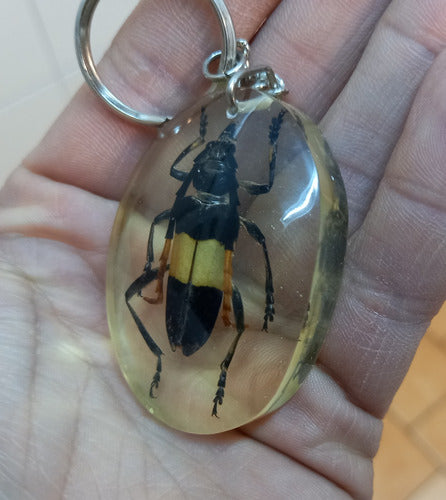 Natural Resin Insect Keychain 4