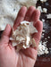 Dehydrated Sourdough Starter Flakes. Nationwide Shipping! 1