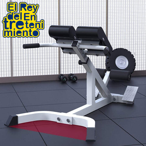 Banco Romano Multifunción Lumbares Regulable Gym El Rey 3