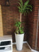 Ohana Arte Natural Large Interior Plants 1