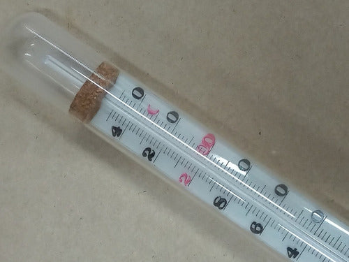 Thermometer with Cardboard Scale -6 to +250° Suitable for Wire Frame 2