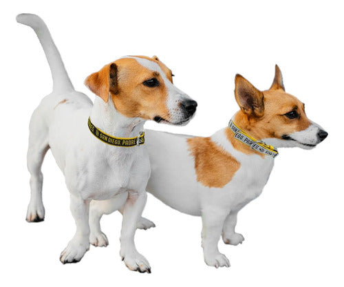 ~? Mascotas Primer Collar Reversible Para Perros Mlb De Los 1