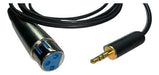 Canon Xlr Hembra Cable Belden A Mini Plug 2 Metros 1