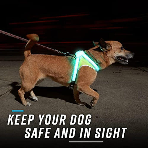 Noxgear Lighthound revolucionario Iluminado Y 2