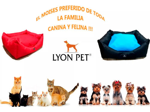 LYON PET Cama Moises Para Perros Medianos Antidesgarro Impermeable 4