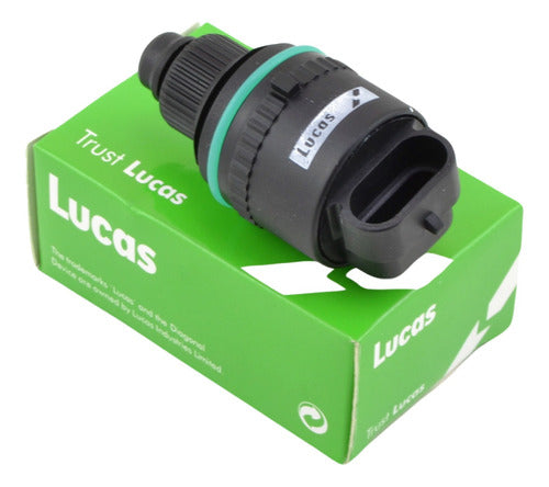 Lucas Motor Paso A Paso Fiat Siena 1.6 16v Clavado En Mariposa 0