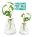 Conical Glass Vase 2 Liters 3