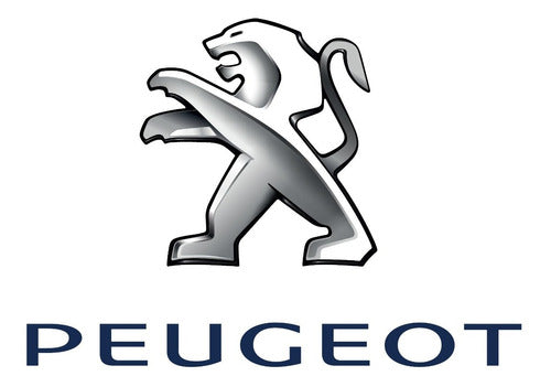 Anti-theft Wheel Nut Set for Peugeot Partner Since 2003 Premium Steel 6