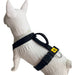 Reinforced Tactical H Harness Anti-Pull Safety K9 8