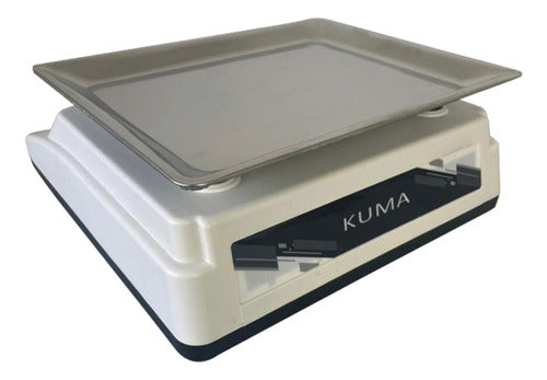 Kuma Precision Commercial Scale 6 Kg Piece Counting 1