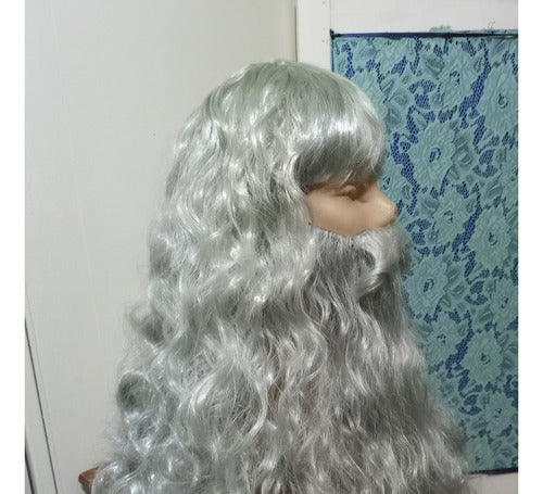 Peluca Y Barba Tipo Gris Style By La Parti Wigs 3