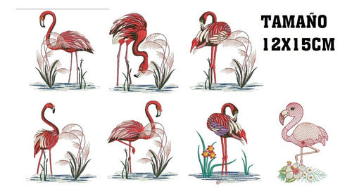 Colorful Flamingos Embroidery Design Pack for Various Machines Pes Jef 1