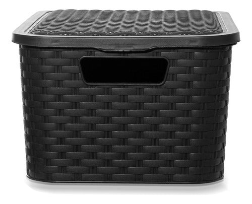 Tecson Lectra Canasto Organizador Símil Rattan Mediano X6uds 0