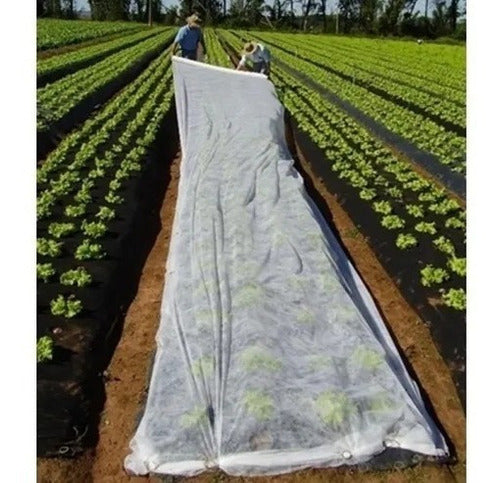 Cerroplast Thermal Anti-Frost Blanket for Plants Winter 10mx4m 17gr 5