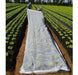 Cerroplast Thermal Anti-Frost Blanket for Plants Winter 10mx4m 17gr 5