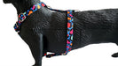 Adjustable Small Size Harness for Small Breeds - Mini Poodles, Dachshunds 6