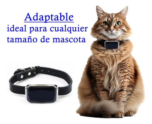 Alpin Localizador Tracker Rastreador Mini GPS Collar Gatos 6