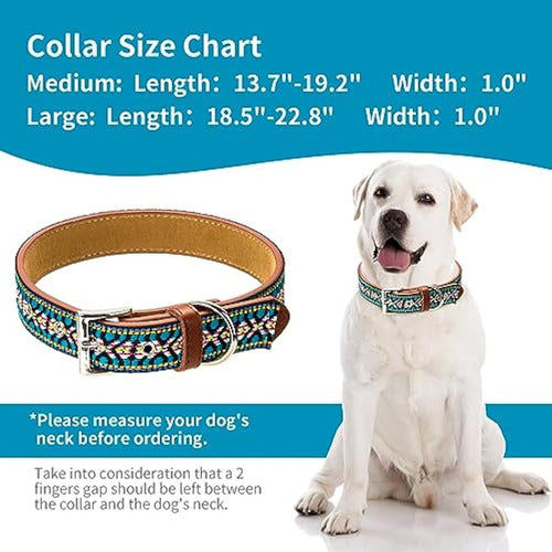 Generic Western Dog Collar, Leather Collar 3