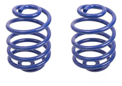 AG Progressive Rear Coil Springs Kit for Chevrolet Agile 0