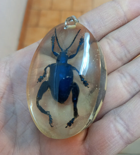 Natural Resin Insect Keychain 2
