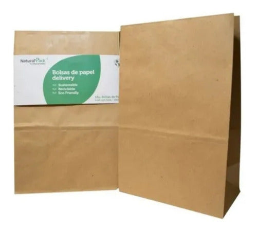 Natural Pack Delivery Bag Kraft No. 105 X100 U (27 X 35 X 16 Cms) 0