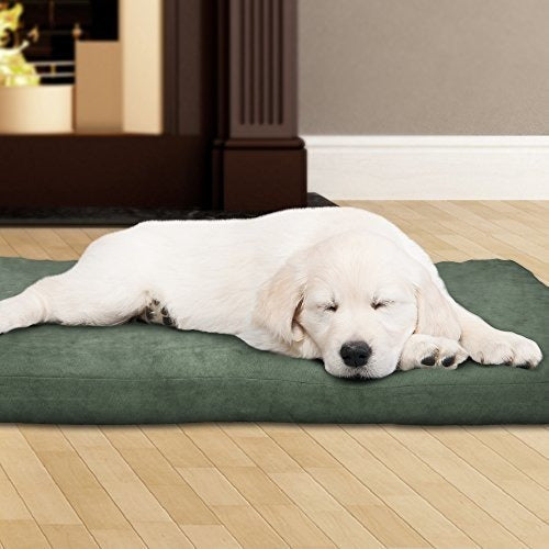 Petmaker  Cama De Mascota De Espuma De 3 Pulgadas  255 X 19 1