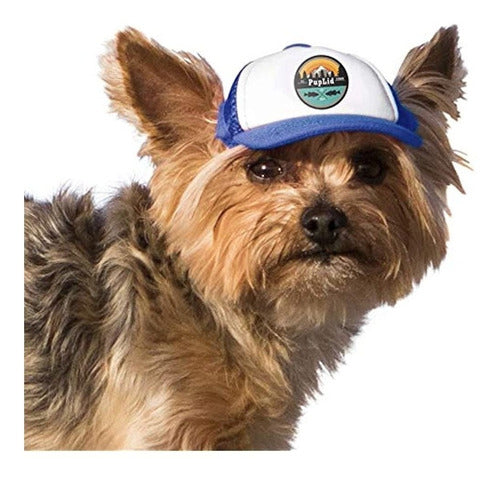 Puplid Trucker Hats for Dogs (XXS) (Blue, Bear) Div 0