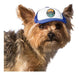 Puplid Trucker Hats for Dogs (XXS) (Blue, Bear) Div 0