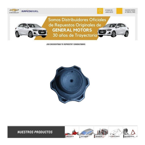 Chevrolet Spin D/H Deposito Cover and Cap 95218390+95218391 4