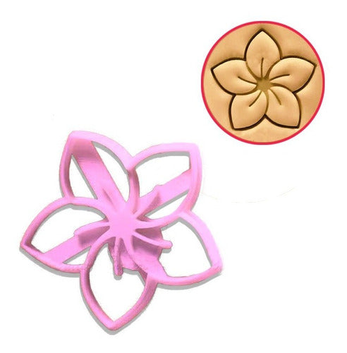 Misia Bonita X3 Flower Cookie Cutter Set: Plumeria, Daisy, Rose 1