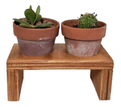 Artesanal Plant Holder for Cactus and Succulent - Double Wood with Pots 0