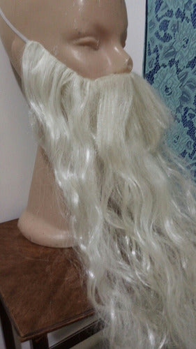 Barba Platino Gris By La Parti Wigs! 3