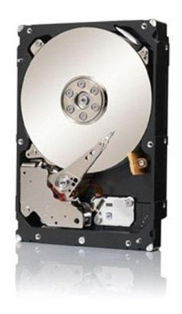 Seagate Constellation ES.2 ST33000650NS Internal Hard Drive 1